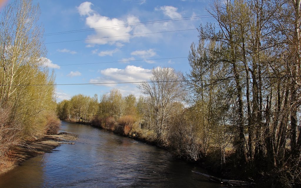 Big Wood River @ Bellvue by elkbender257