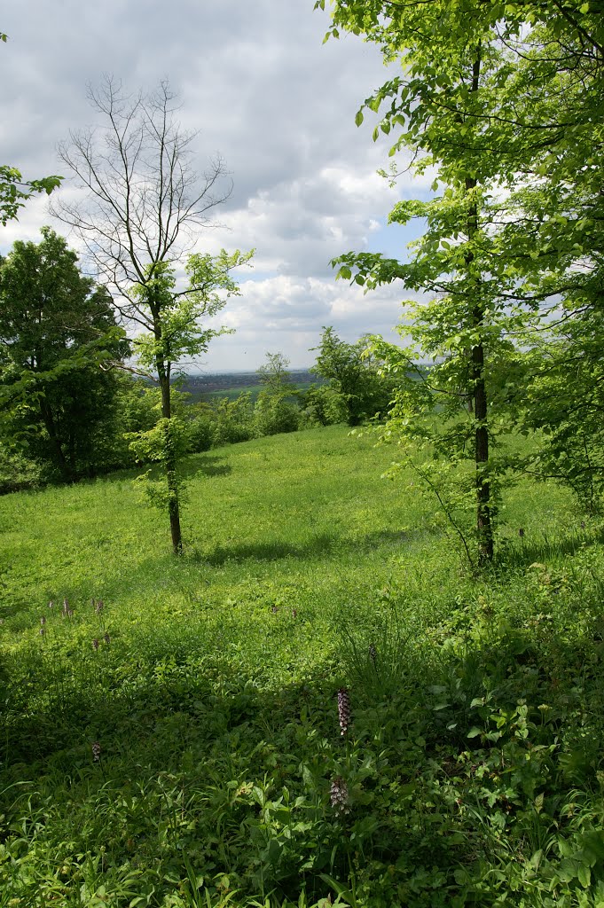 Středočeská krajina / Central Bohemian Countryside – Křinec – Chotuc, Pic # 2 by Zbynda