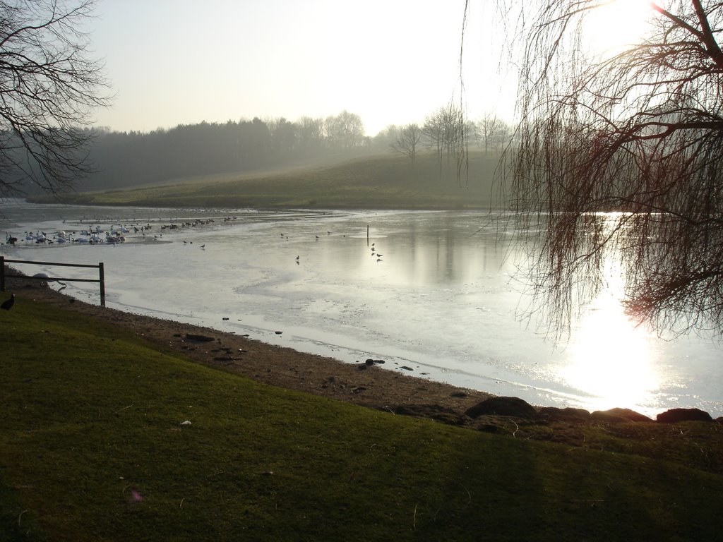 Leeds castle lake by ricky2m