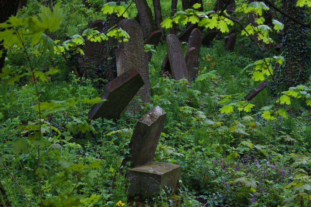 Fragment zabytkowego cmentarza żydowskiego w Białej Prudnickiej by KRZYSIEK