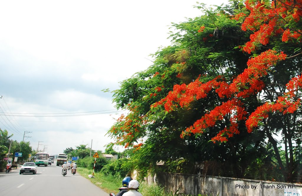 Phong cảnh dọc QL 91, đoạn qua An Giang by Nguyễn Thanh Sơn