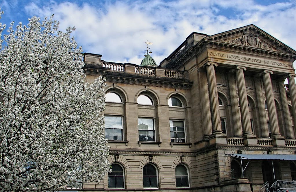 Courthouse Blossom by LHS Photo