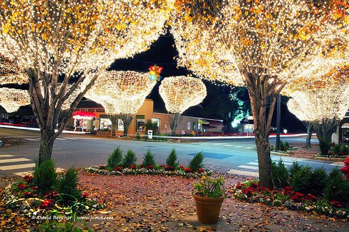 Fairhope x-mas by lumis