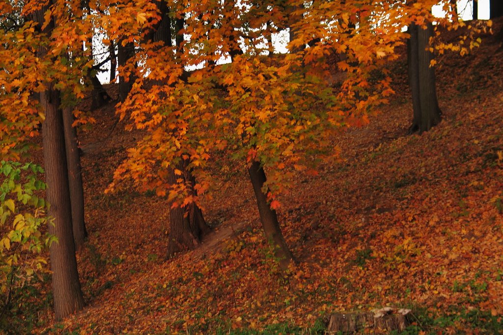 Autumn Leaf-Fall on Tsaritsyno by Cherepanov Timofey