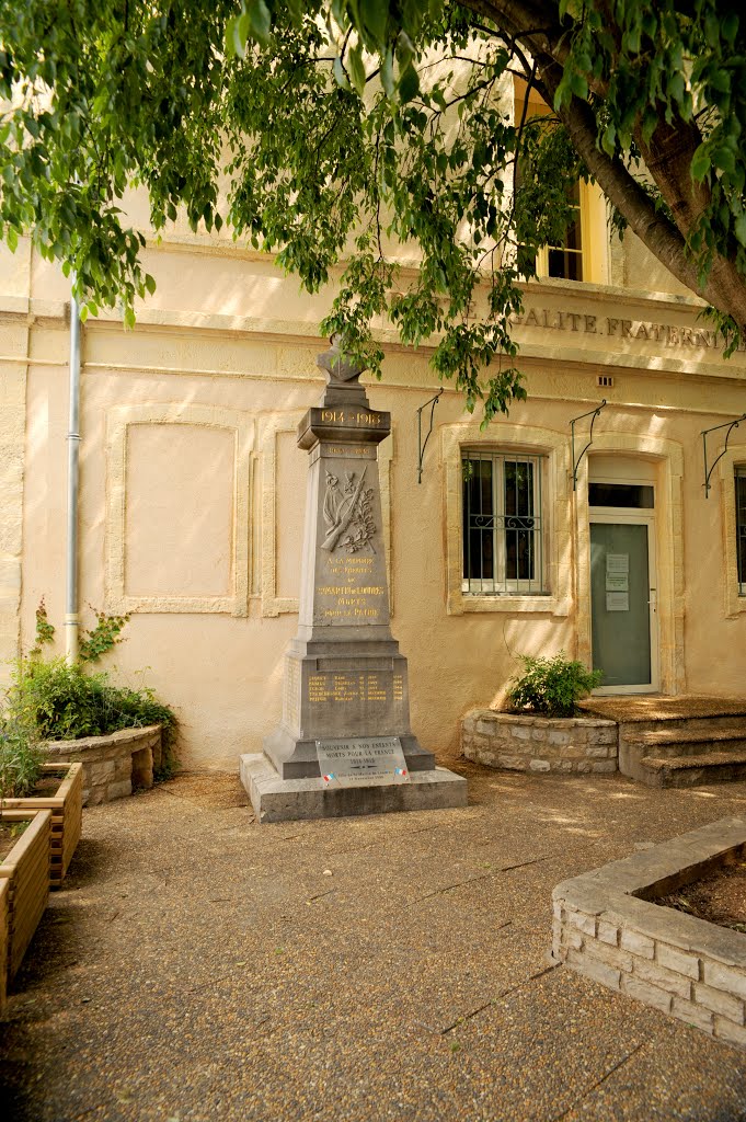 Monument aux morts de Saint Martin de Londres by Dominique Salé