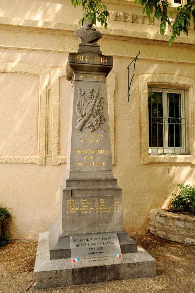 Monument aux morts de Saint Martin de Londres by Dominique Salé