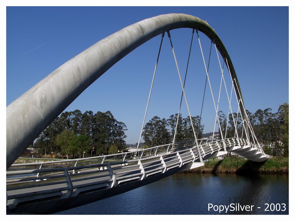 Puente peatonal sobre el Lérez by popysilver