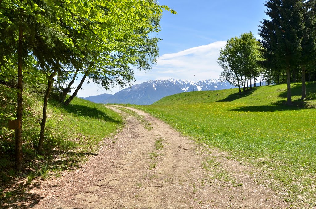 Auf dem Weg zur Startplatz, Radsberg by janek.s