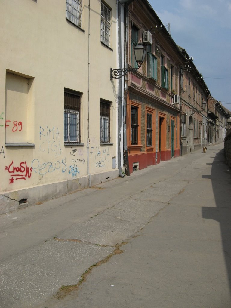 Novi Sad, zgrada sajkačkog bataljona, ulica Beogradska by Dejan Kovačević