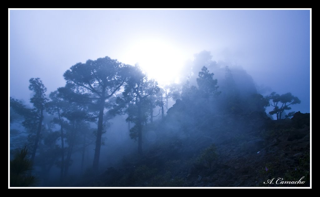 Niebla by a. camacho