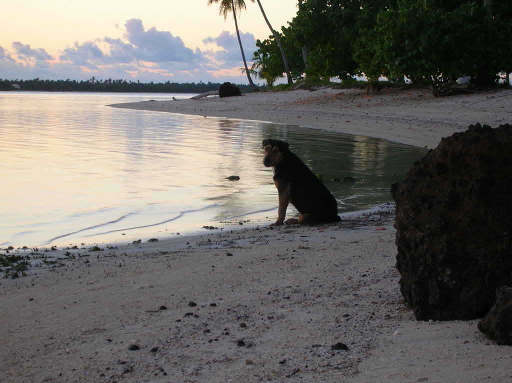 Unnamed Road, French Polynesia by Alepippo