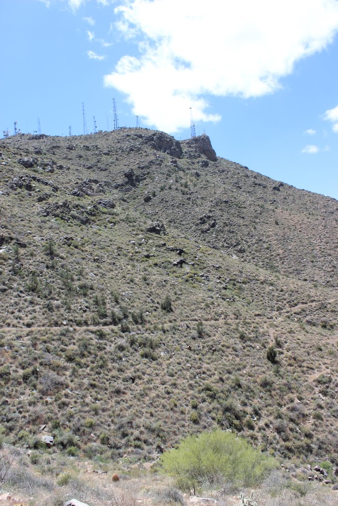 Goat Camp Trail near towers by azoffroad.net