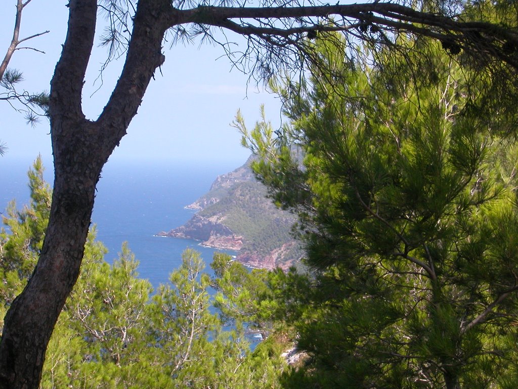 Mallorca North Coast by MDTurley