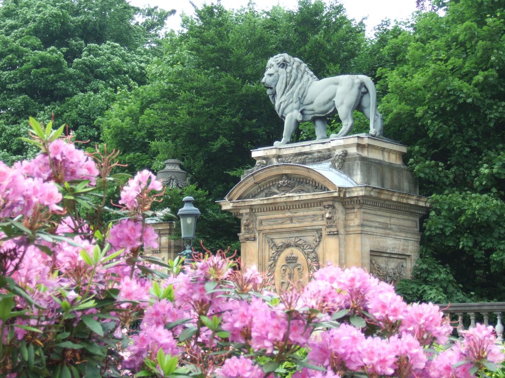 Troonplein, Lion Statue at rear of Royal Palace, Brussels by Severous