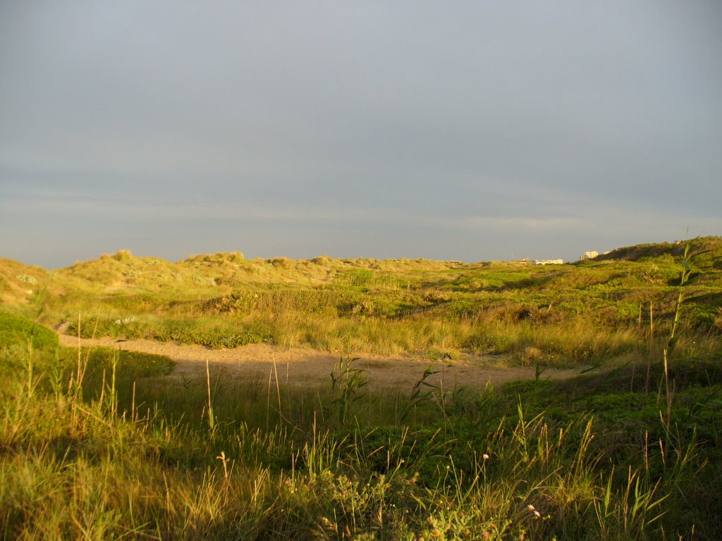 Dunas del saler by Juan Devis