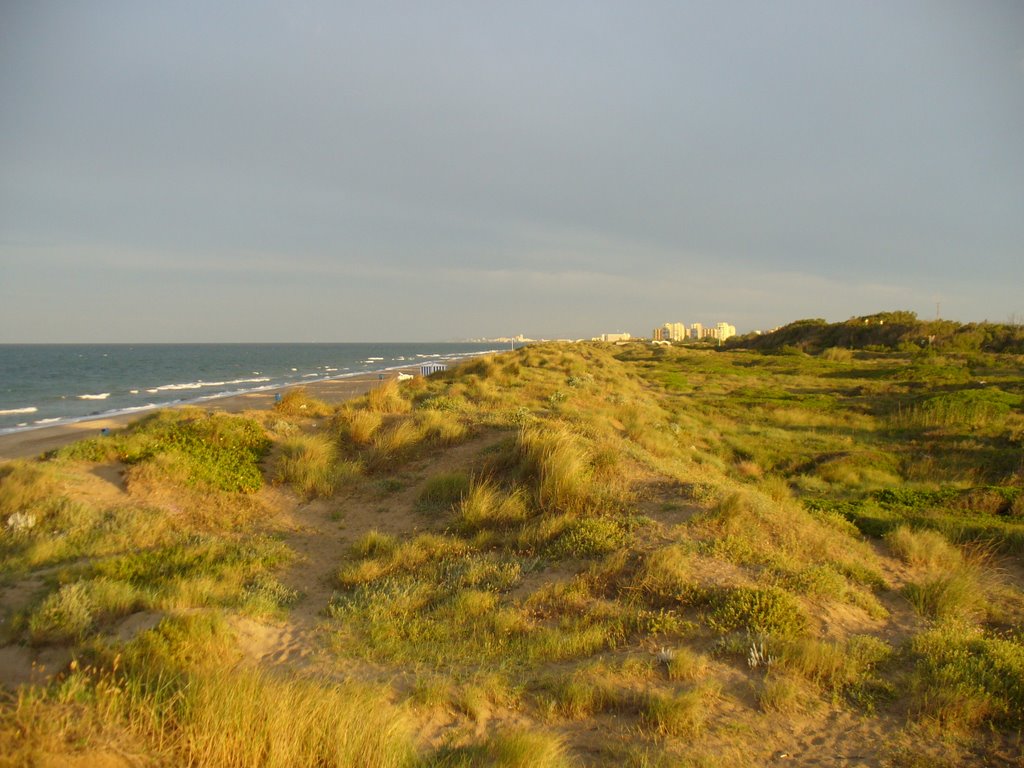 Dunas del saler by Juan Devis