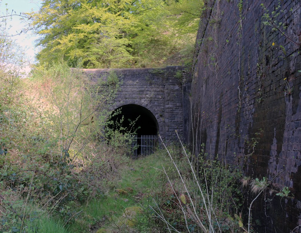 Clydach Tunnel Eastern end by PhilChipper