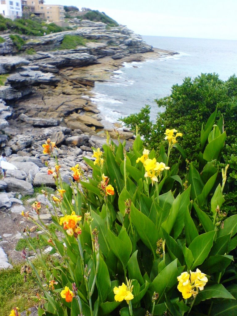 Tamarama NSW 2026, Australia by wisdomteeth