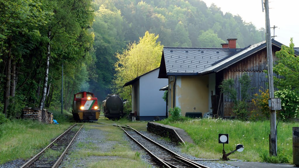 Feistritztalbahn Talcum-Train Oberfeistritz 2 by hanepu2