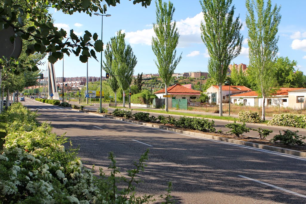 Avenida de Zamora y puente de la Hispanidad by RA Melgar