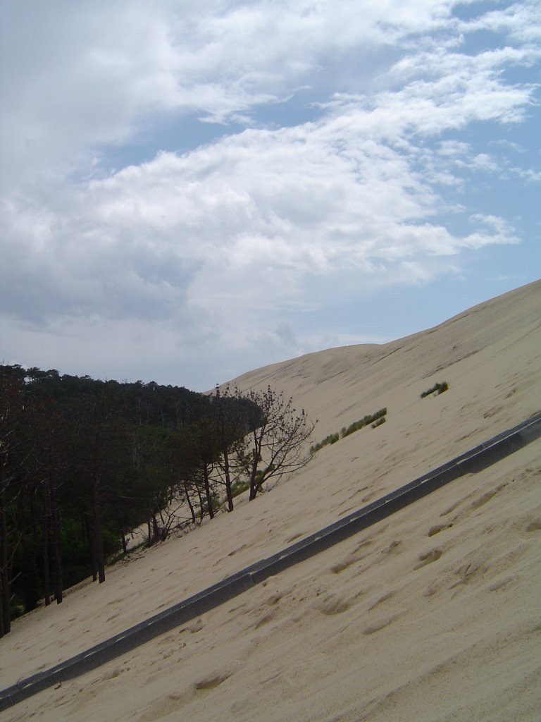 Montée Dune de Pyla by carogpelayo