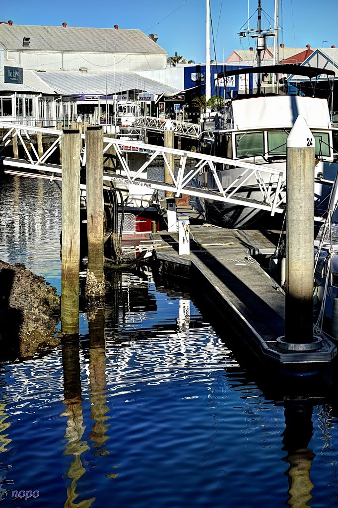 Reflections at Underwater World, Mooloolaba QLD by nopo