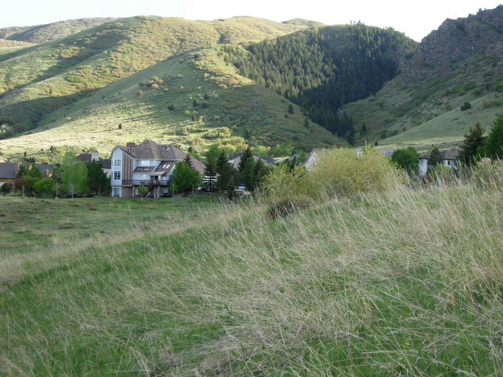 Ken Cayl Valley In Spring by ryandenver