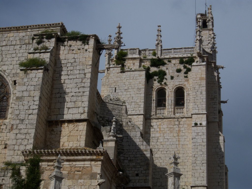 Catedral de Palencia by ©-Miguel A. Rodrígue…