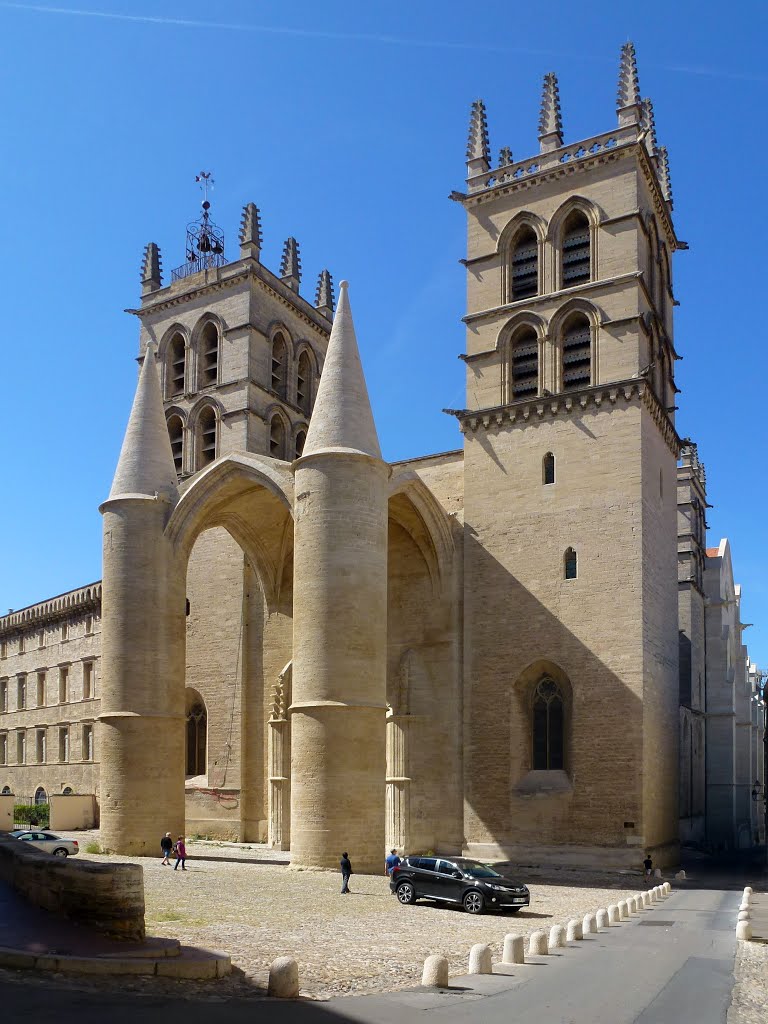 Cathedral, Montpellier, France by Bruno Locatelli