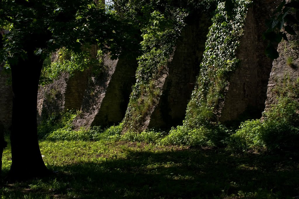 Zamek Książęcy w Strzelcach Opolskich by KRZYSIEK