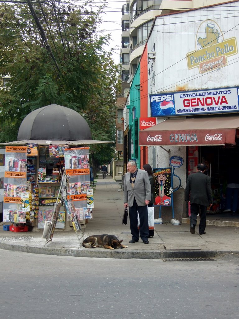 Street Corner, Vina del Mar by mpm777