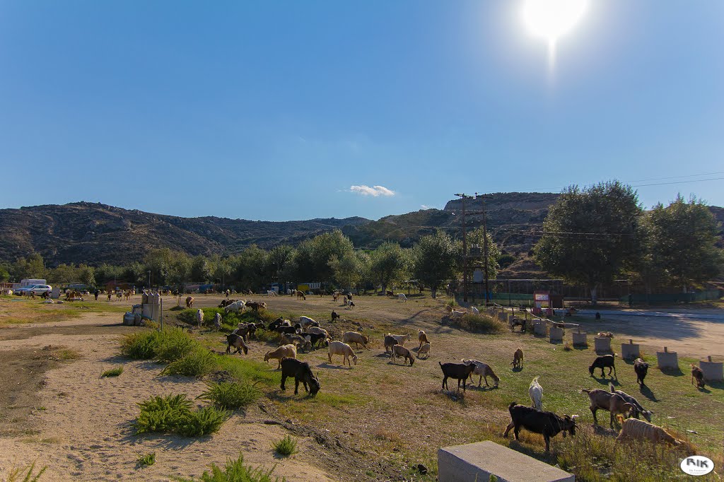 Kriaritsi Beach, Sithonia - The Goats by rickfr001