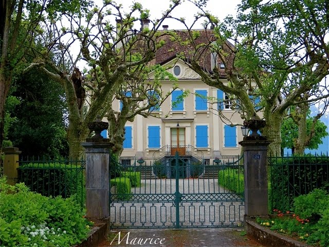 Regard photographique by Maurice Simonetto