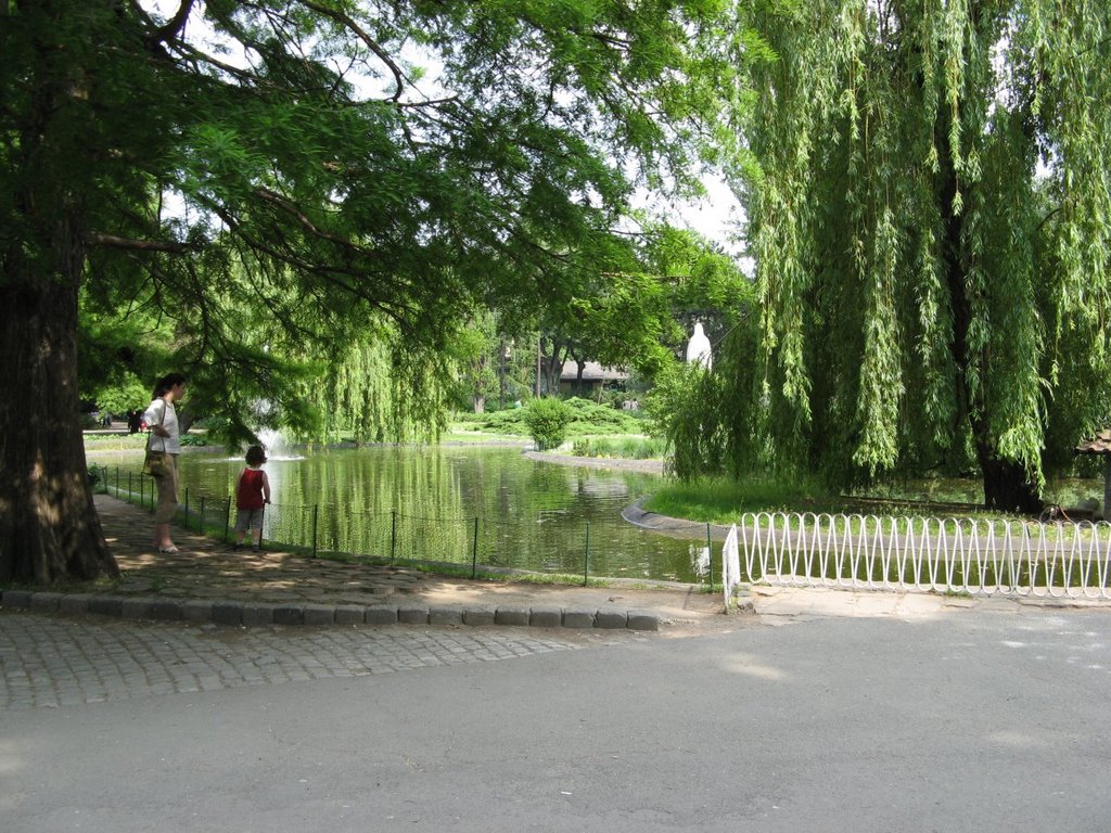 Novi Sad, Dunavski Park, jezerce by Dejan Kovačević