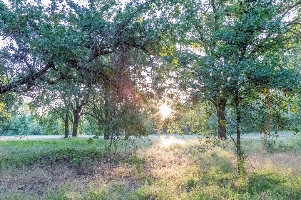 Bidwell Park, Chico, Ca, USA by LeeHarland