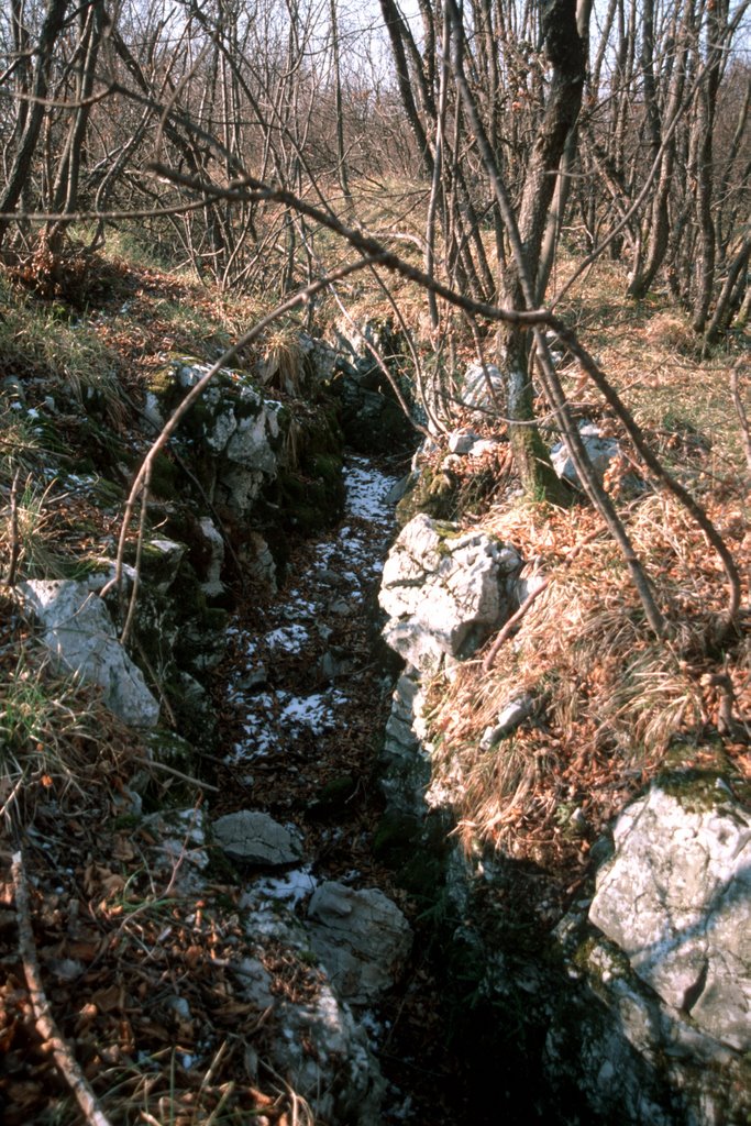 Carso della Grande Guerra Trincea delle Frasche by umberto54