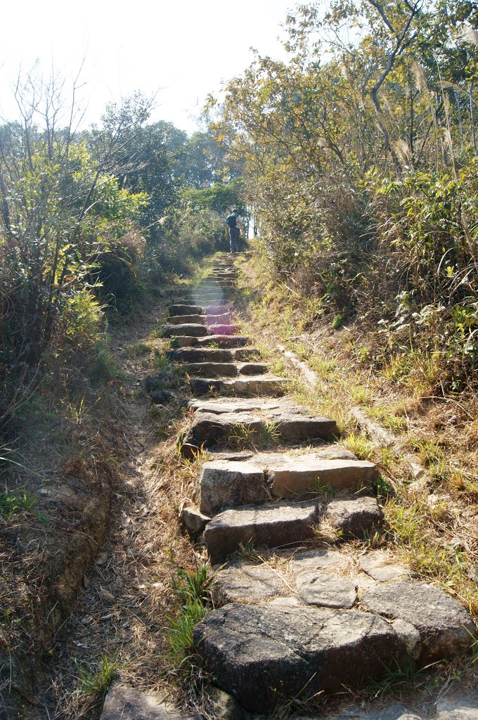 Mui Wo to Pui O Hike 07 by coljay72