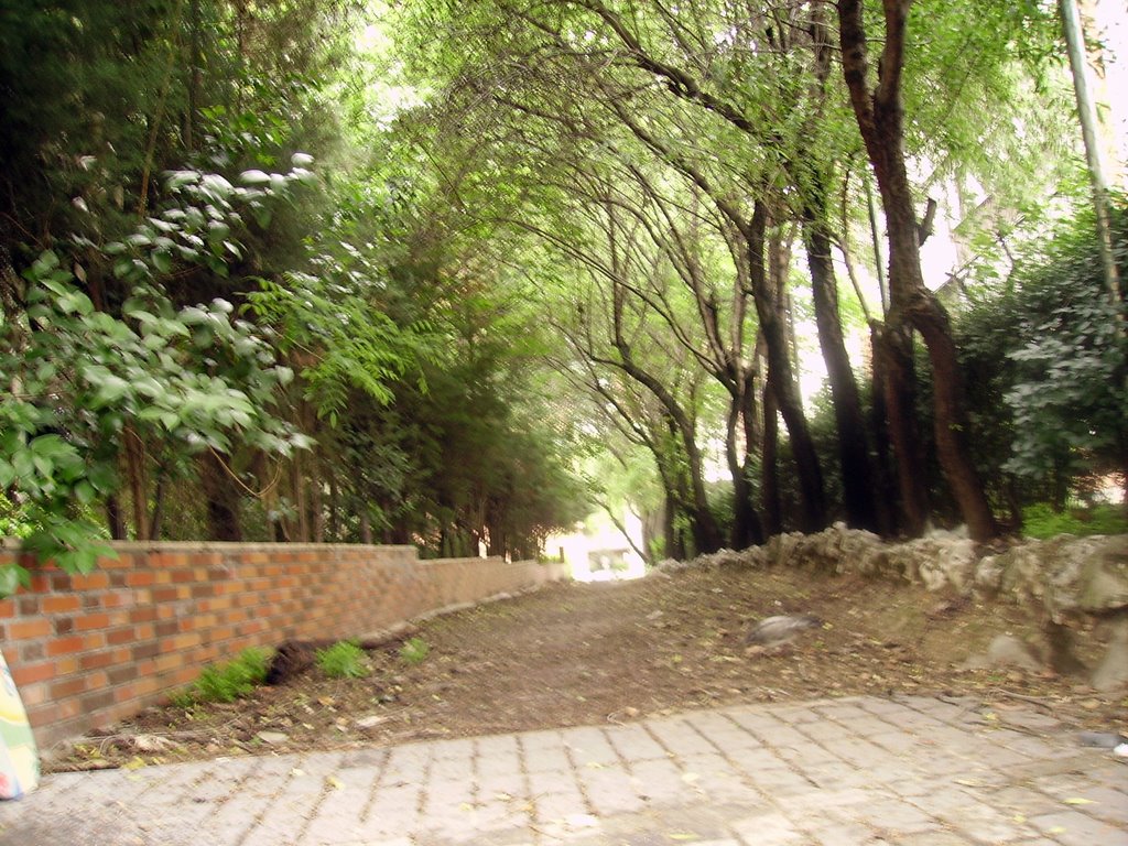 Pasillo Verde (De Chamartín) by Ricardo Ricote Rodriguez