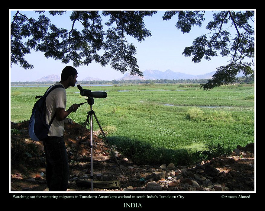 Birding in Amanikere by Ameen Ahmed