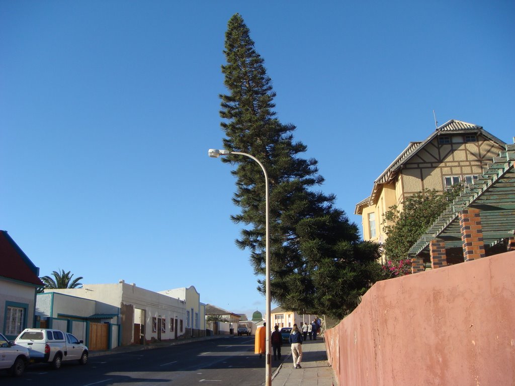 Luderitz strange tree by serendypita