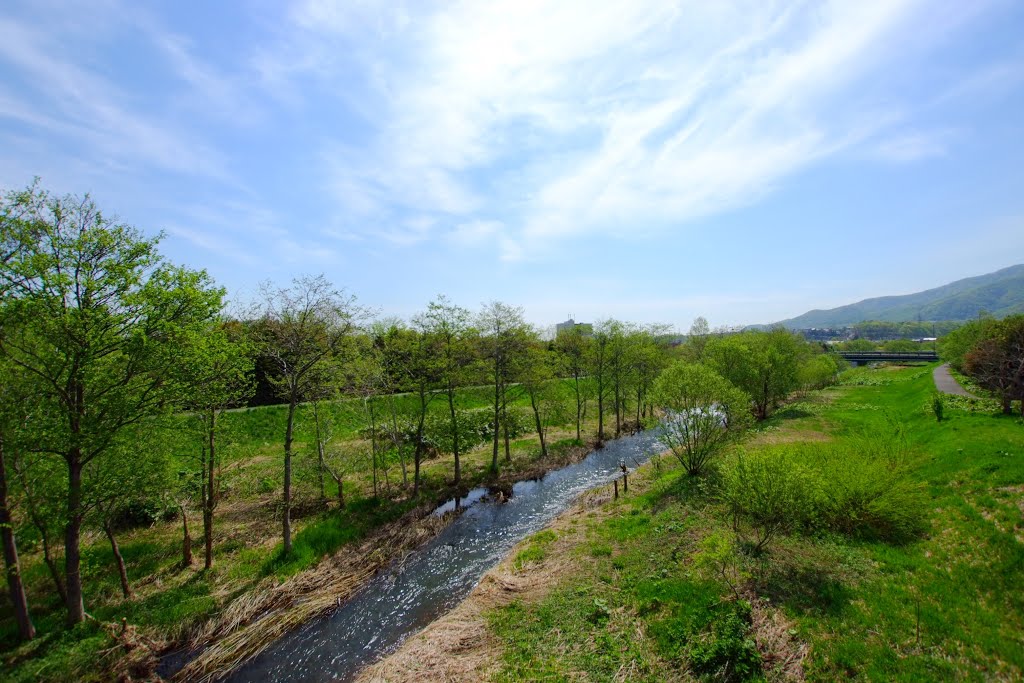 星観緑地 （Hoshimi Green space） by t-konno