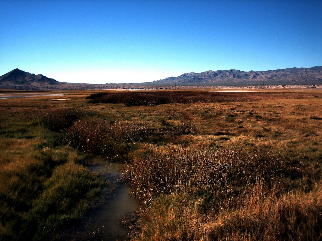 Tecopa Hot Springs, CA by res08hao