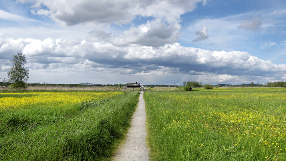 Am Federsee by Andi-3D