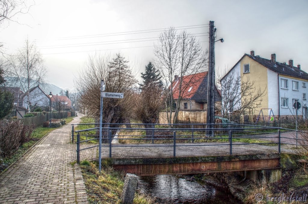 Brücke am Blumenweg by ☼❄ bergkristall ❆ ☼