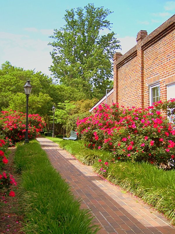 Hayden's Lane, Smithfield, VA by DSDonovan