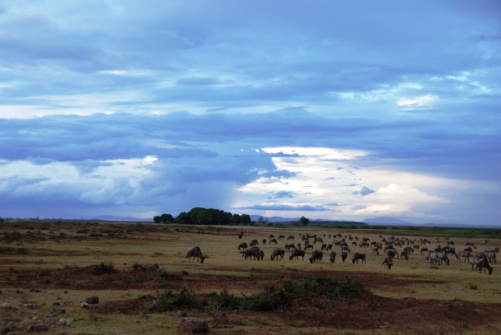 Amboseli by Antón Vázquez (Casa …