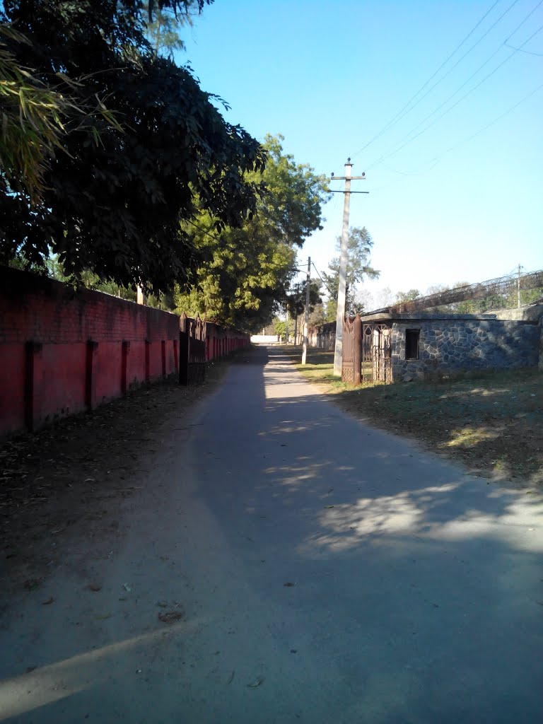 Gadaipur Farms by StefanK.