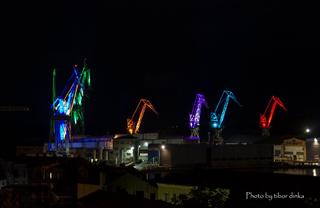 SVJETLEĆI DIVOVI LIGHTING GIANTS PULA by tibor-pula