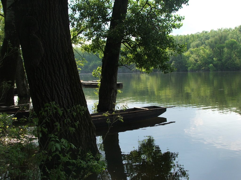 Mártély a holt Tisza (dead river) by Kocsi Gyula