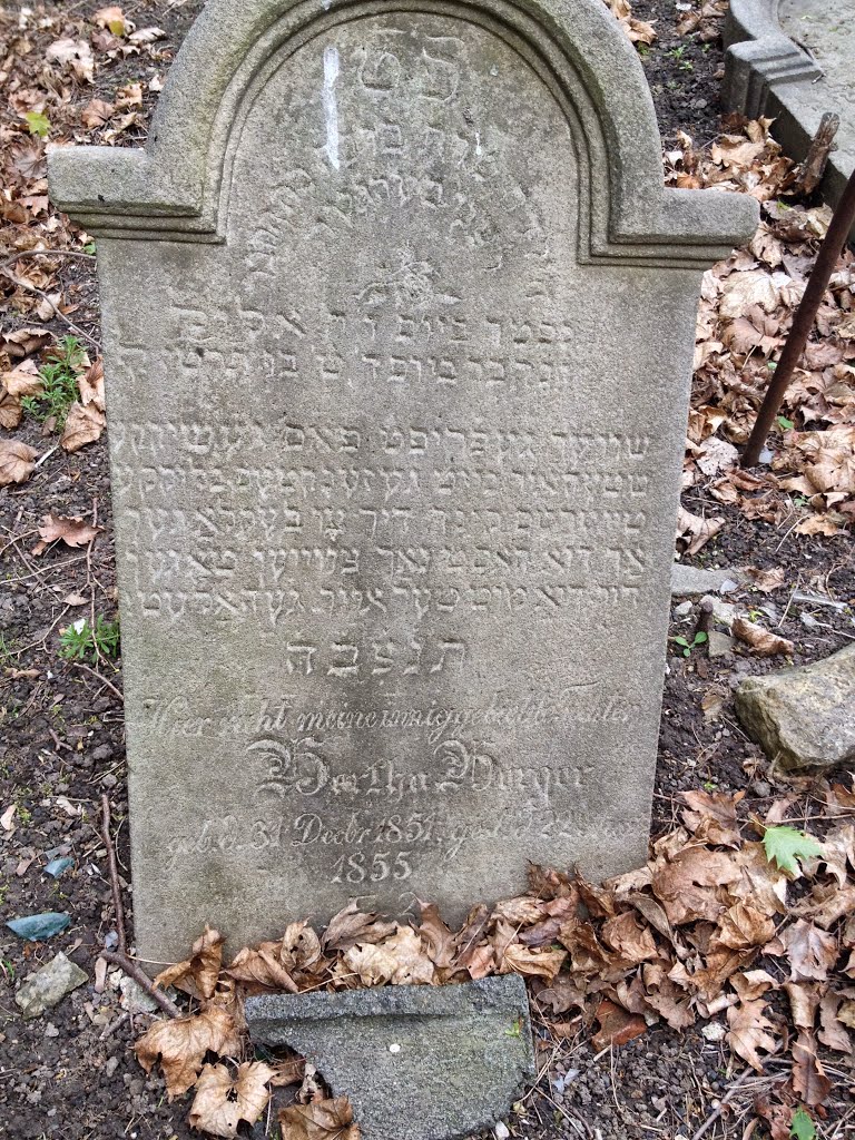 Cmentarz żydowski w Kłodzku - Jewish cemetery in Klodzko by EDWARD LABOLATORY